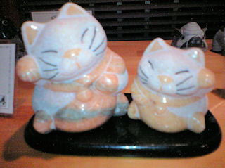 大理石猫大小