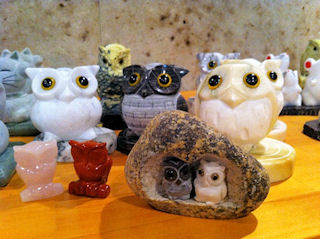 フクロウ色々